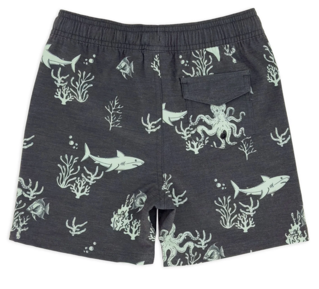 Boys Classic Boardshort