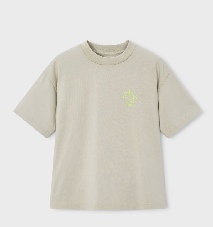 Turtle Graphic Shirt