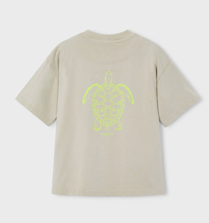 Turtle Graphic Shirt