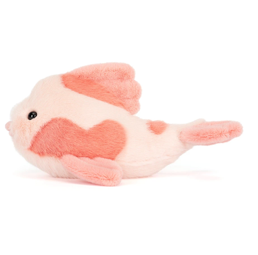 Fancy Carp