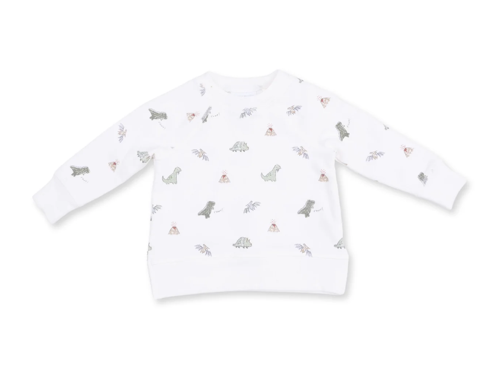 Dino Raglan Sweatshirt