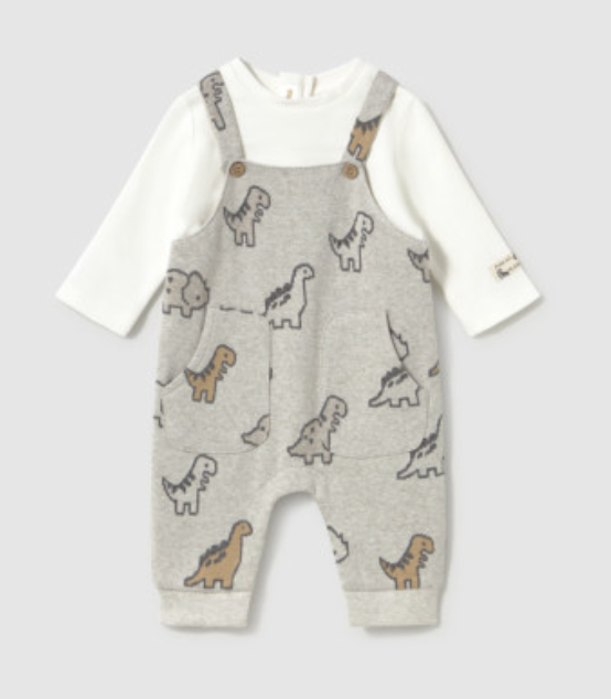 Dinosaur Dungaree and Shirt