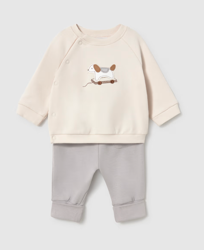 Toy Puppy Shirt and Pant Set