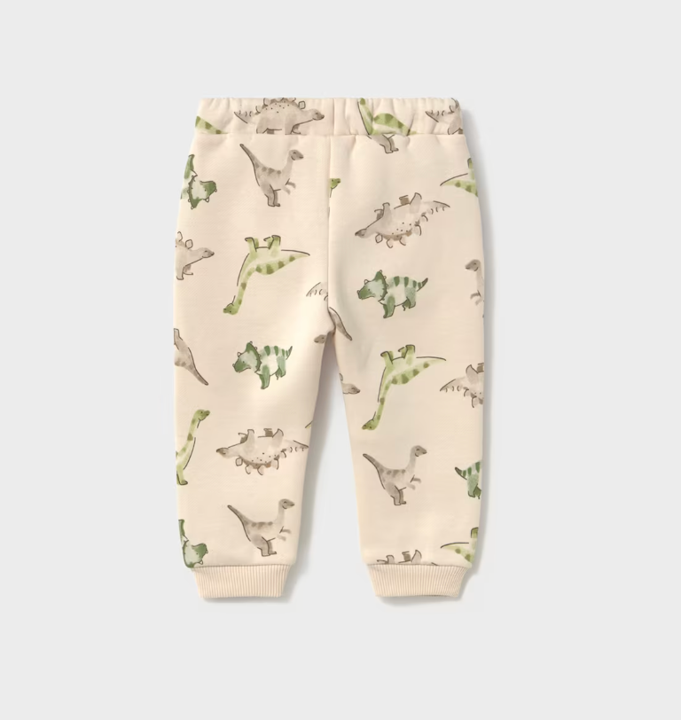 Baby Boy Dino Sweatpants