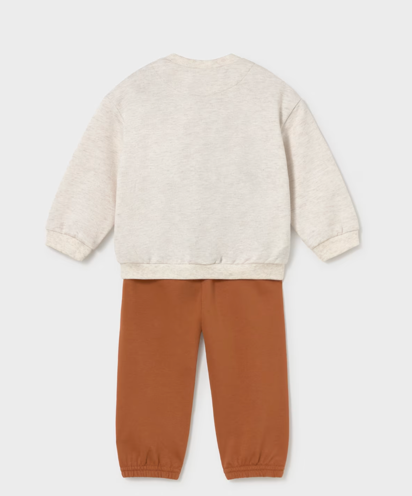 Fox Sweatshirt and Pant Set