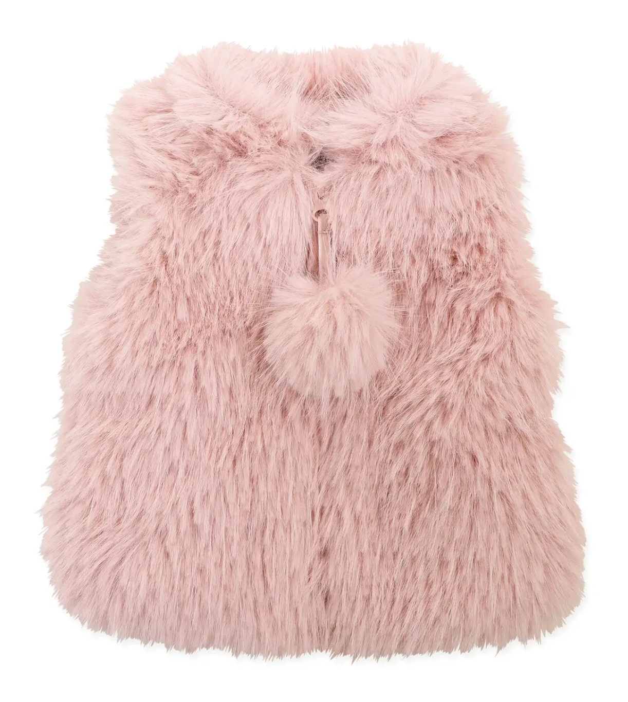 American Widgeon Widgeon Pom Pom