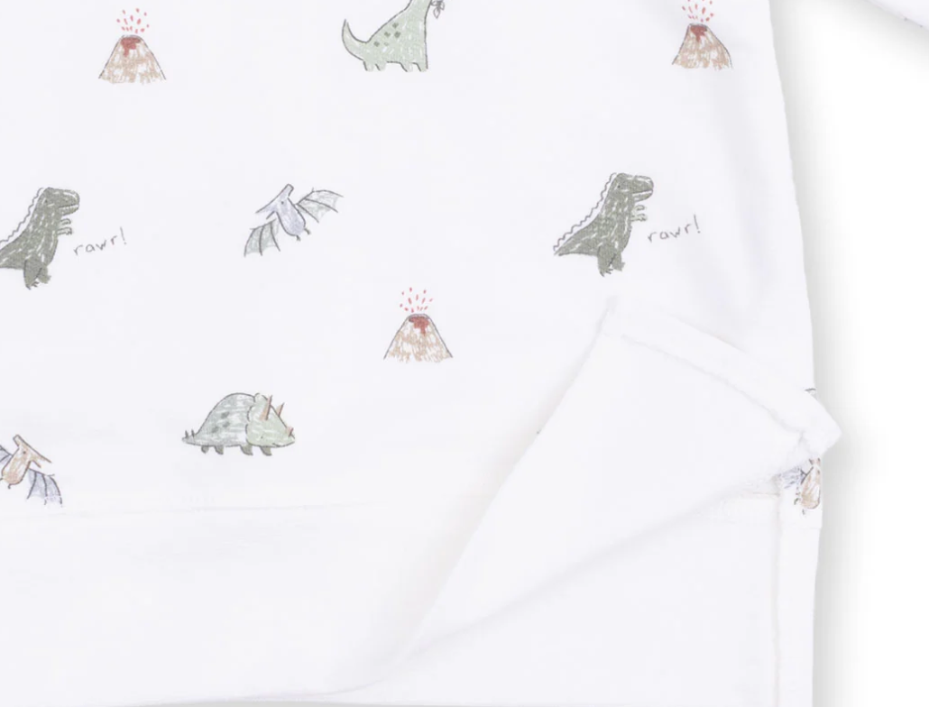 Dino Raglan Sweatshirt