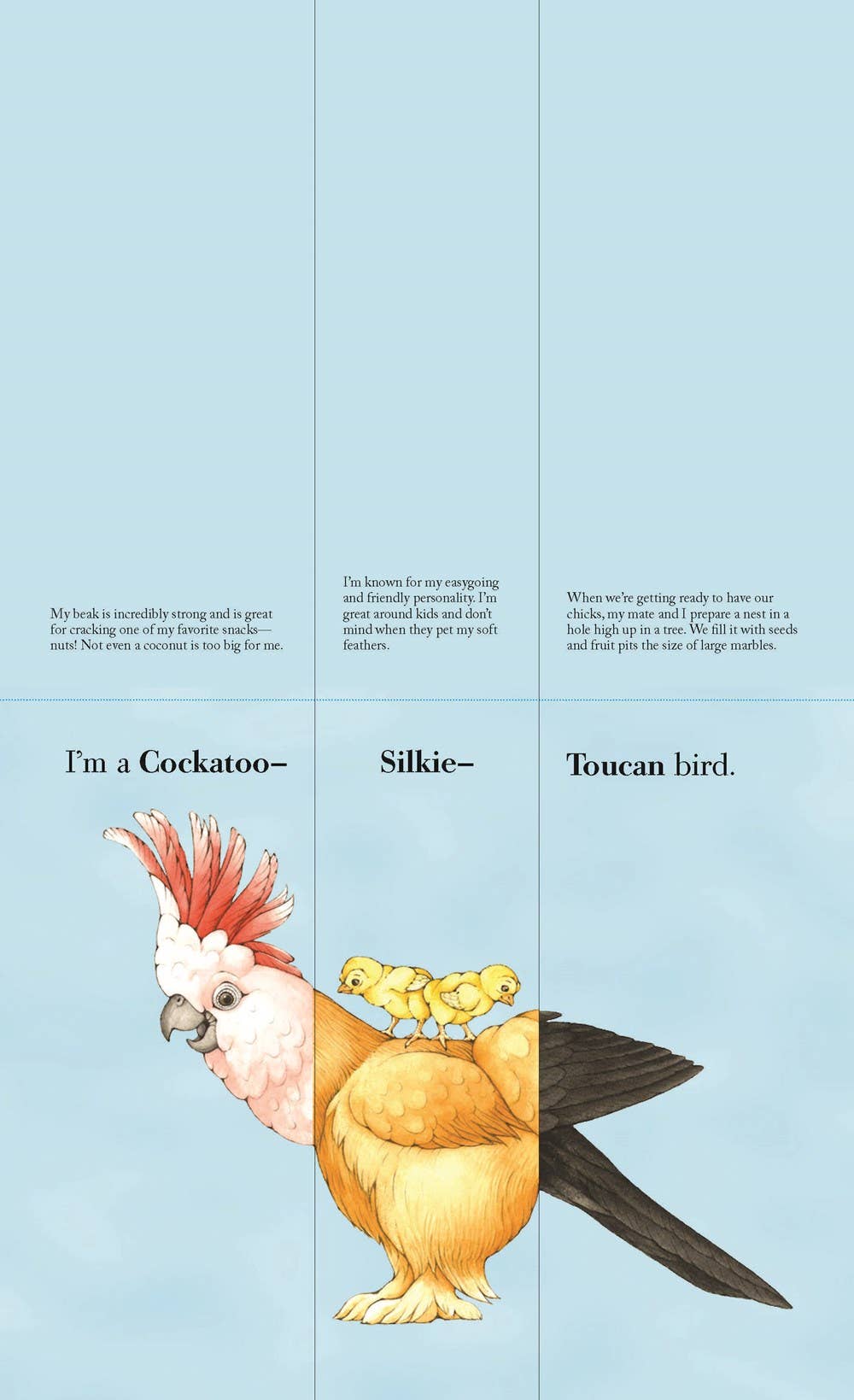 Flip-a-Feather: Make Your Own Wacky Bird!