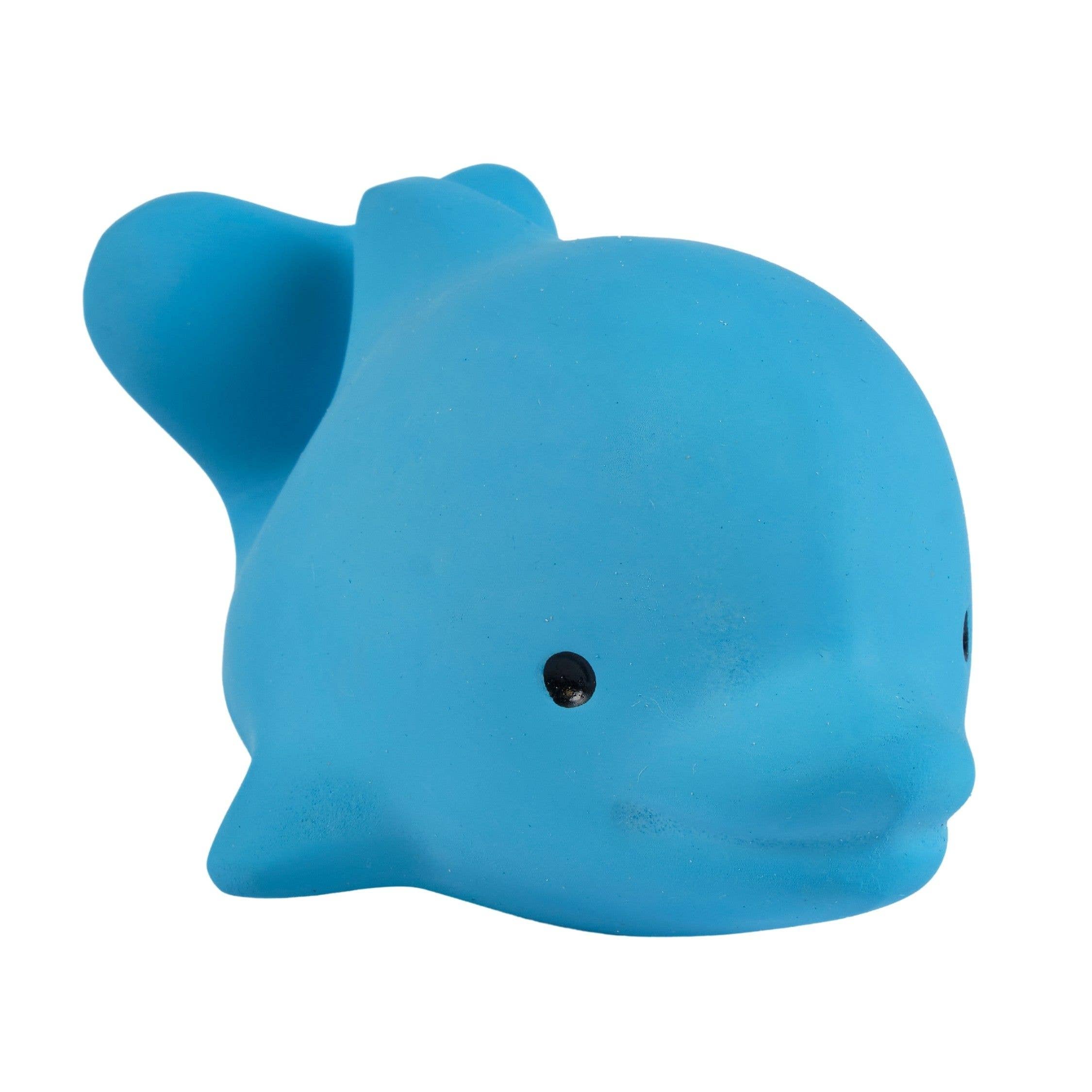Dolphin Natural Organic Rubber Teether, Rattle & Bath Toy
