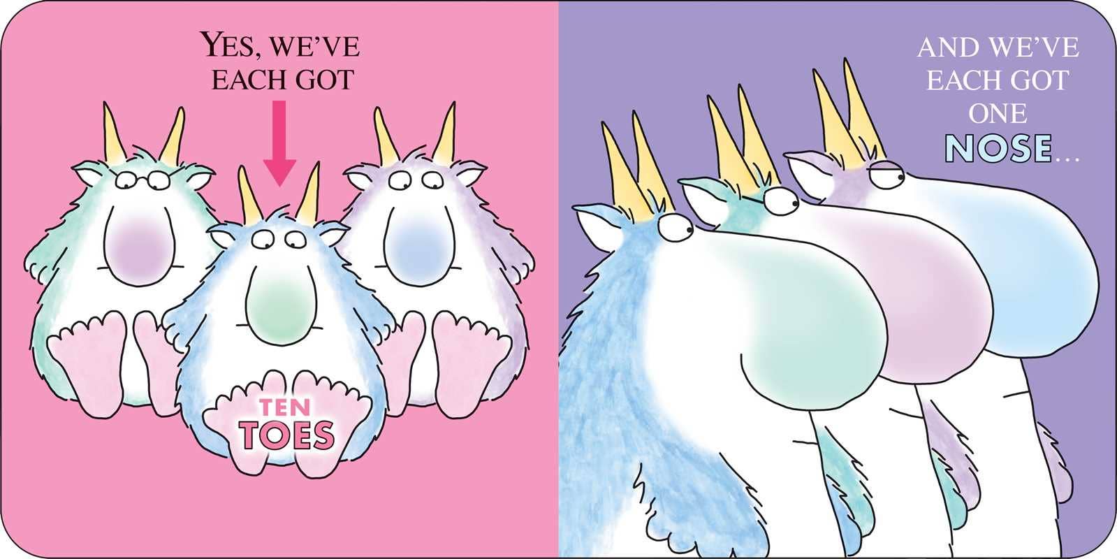 Horns To Toes by Sandra Boynton