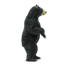 Load image into Gallery viewer, Black Bear - 181629