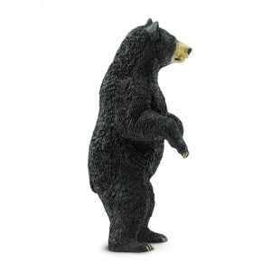Black Bear - 181629