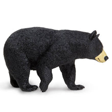 Load image into Gallery viewer, Black Bear - 112589