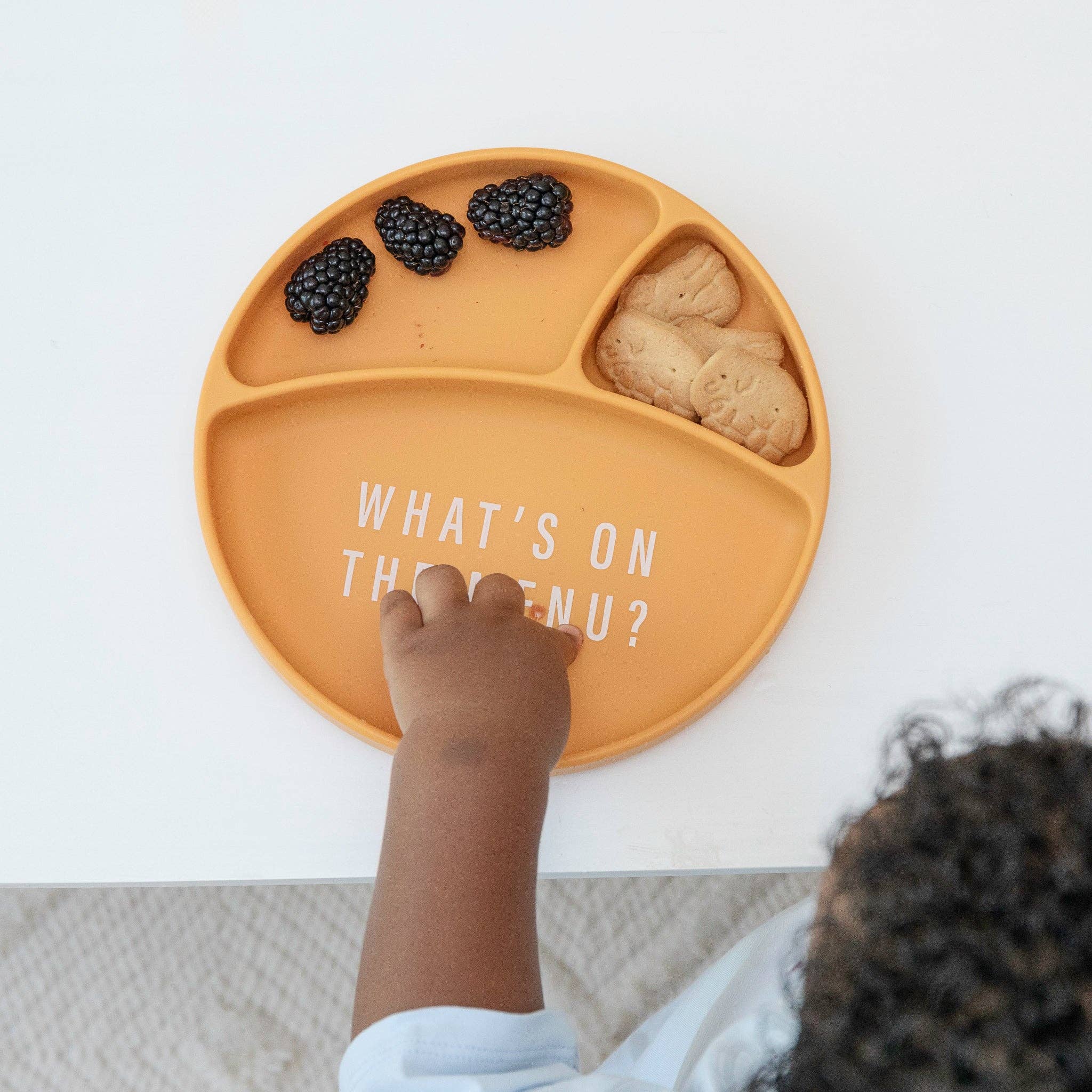 What's on the Menu Wonder Plate