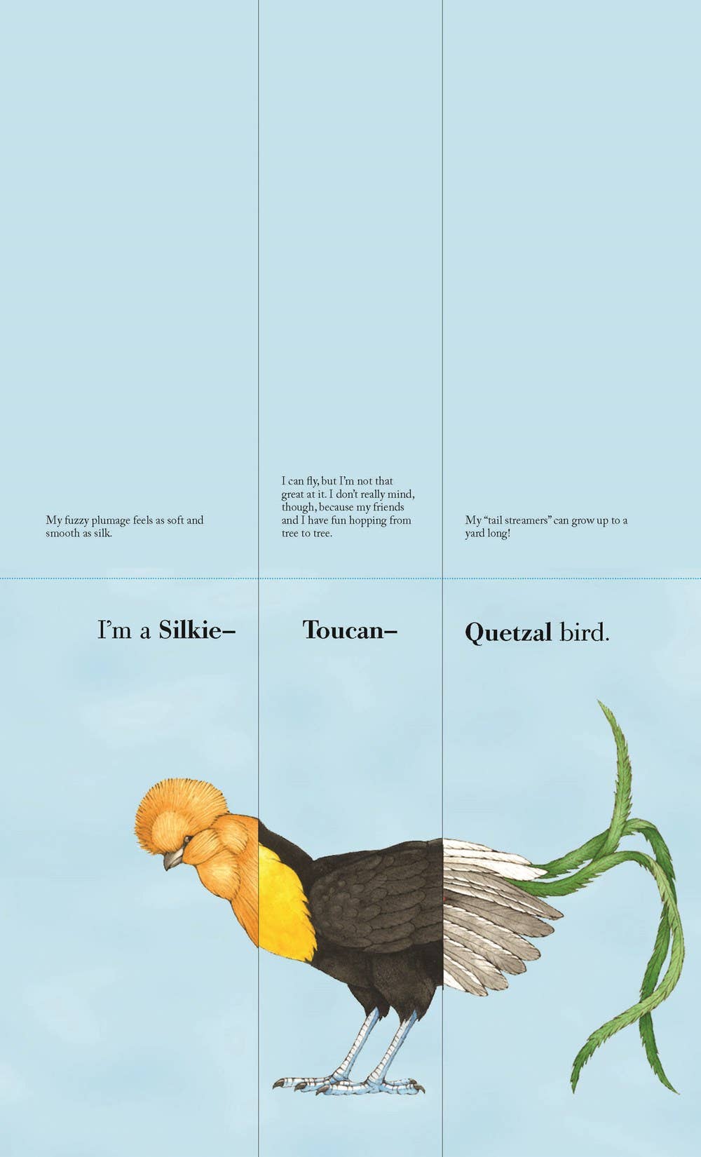 Flip-a-Feather: Make Your Own Wacky Bird!