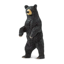 Load image into Gallery viewer, Black Bear - 181629