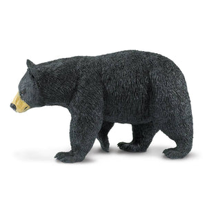 Black Bear - 112589
